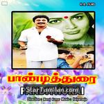 Pandithurai Movie Poster