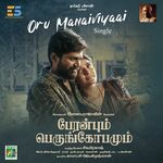 Peranbum Perungobamum movie poster